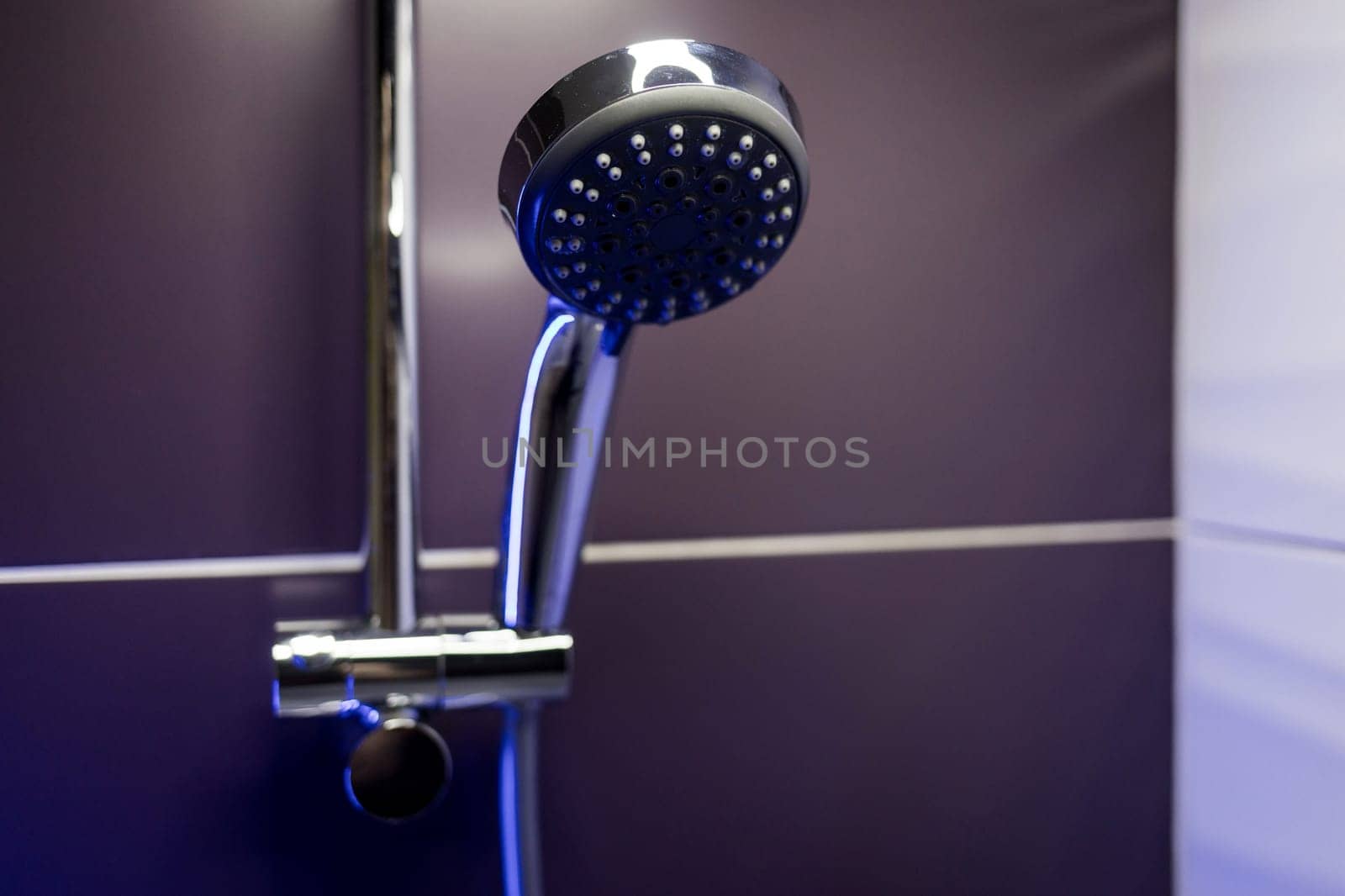 chrome shower head hanging in bathroom