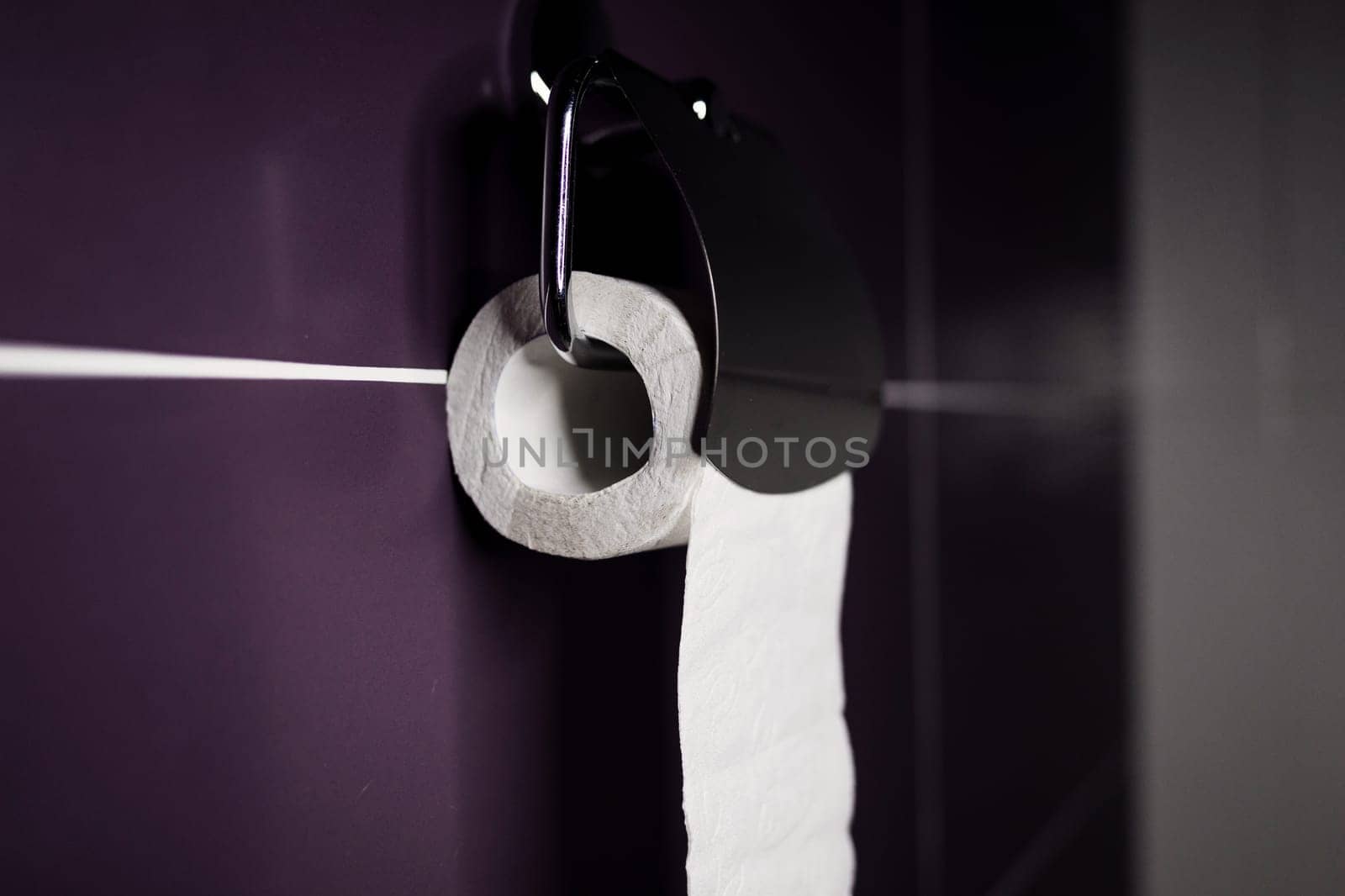  Roll of toilet paper hanging on silver holder