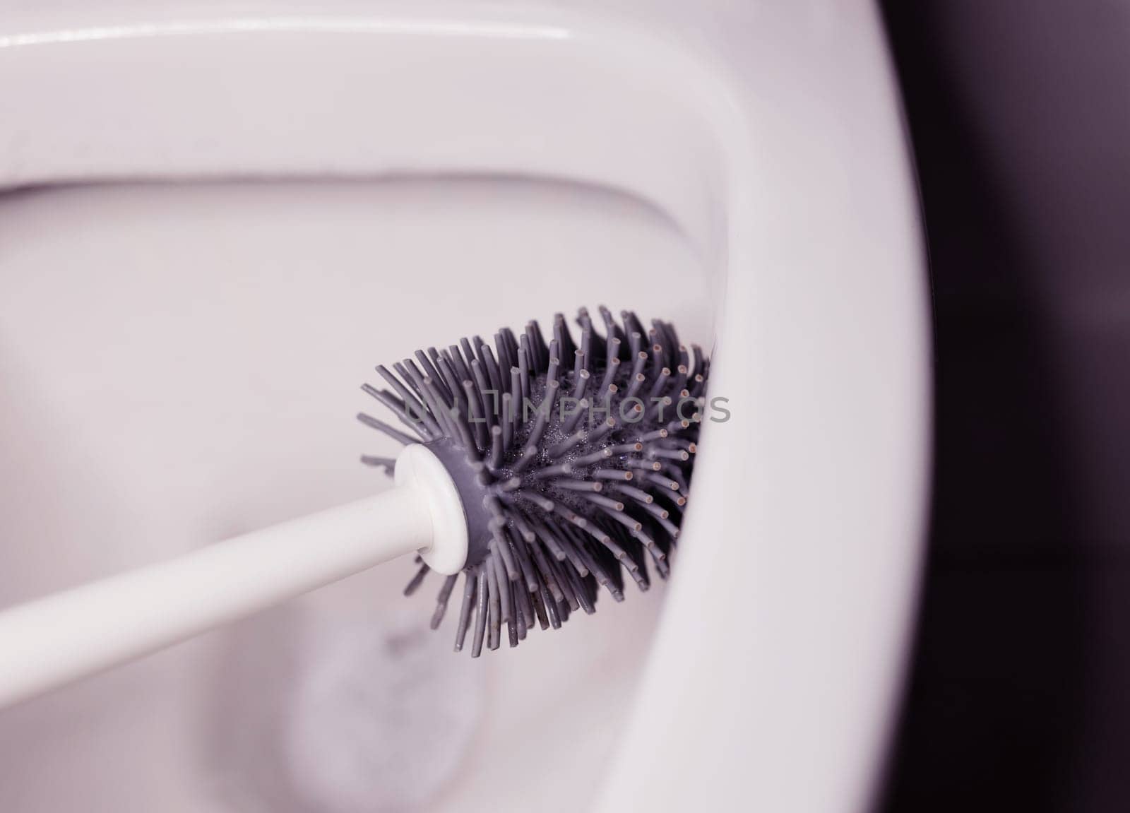 cleaning the toilet with a brush. no bacteria