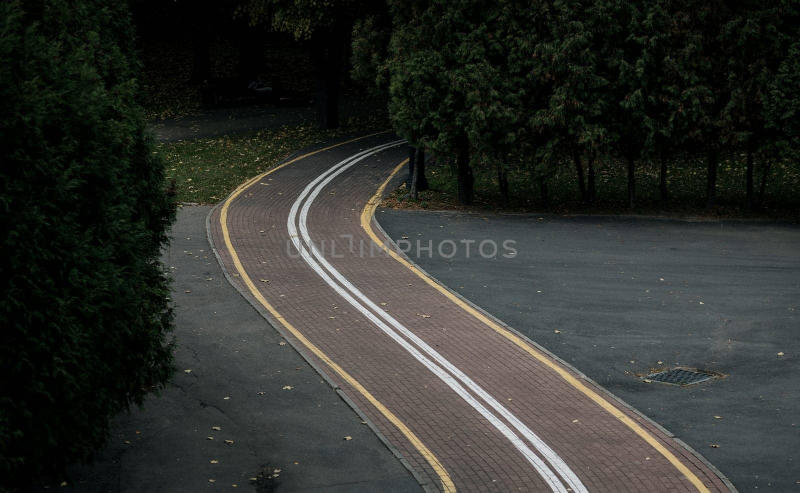 winding bike path through a park with trees. eco environment