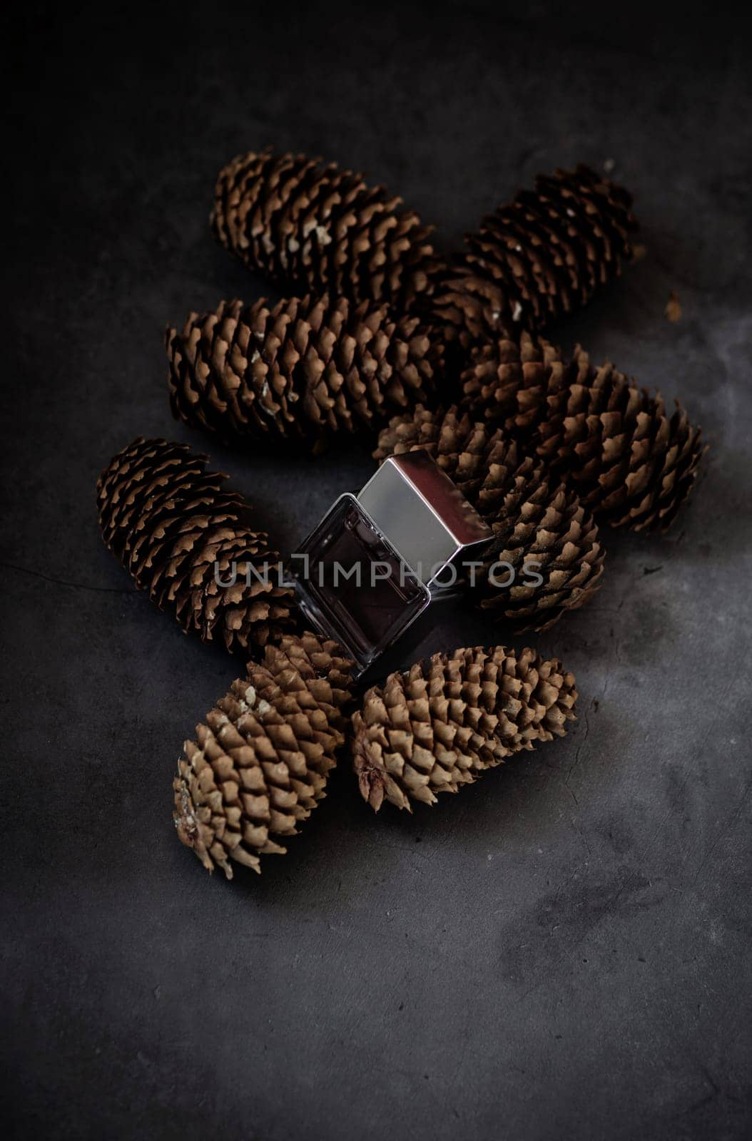 Transparent bottle of perfume on a background of pine cone. Trending concept in natural materials. Women's and men's essence. Natural cosmetic