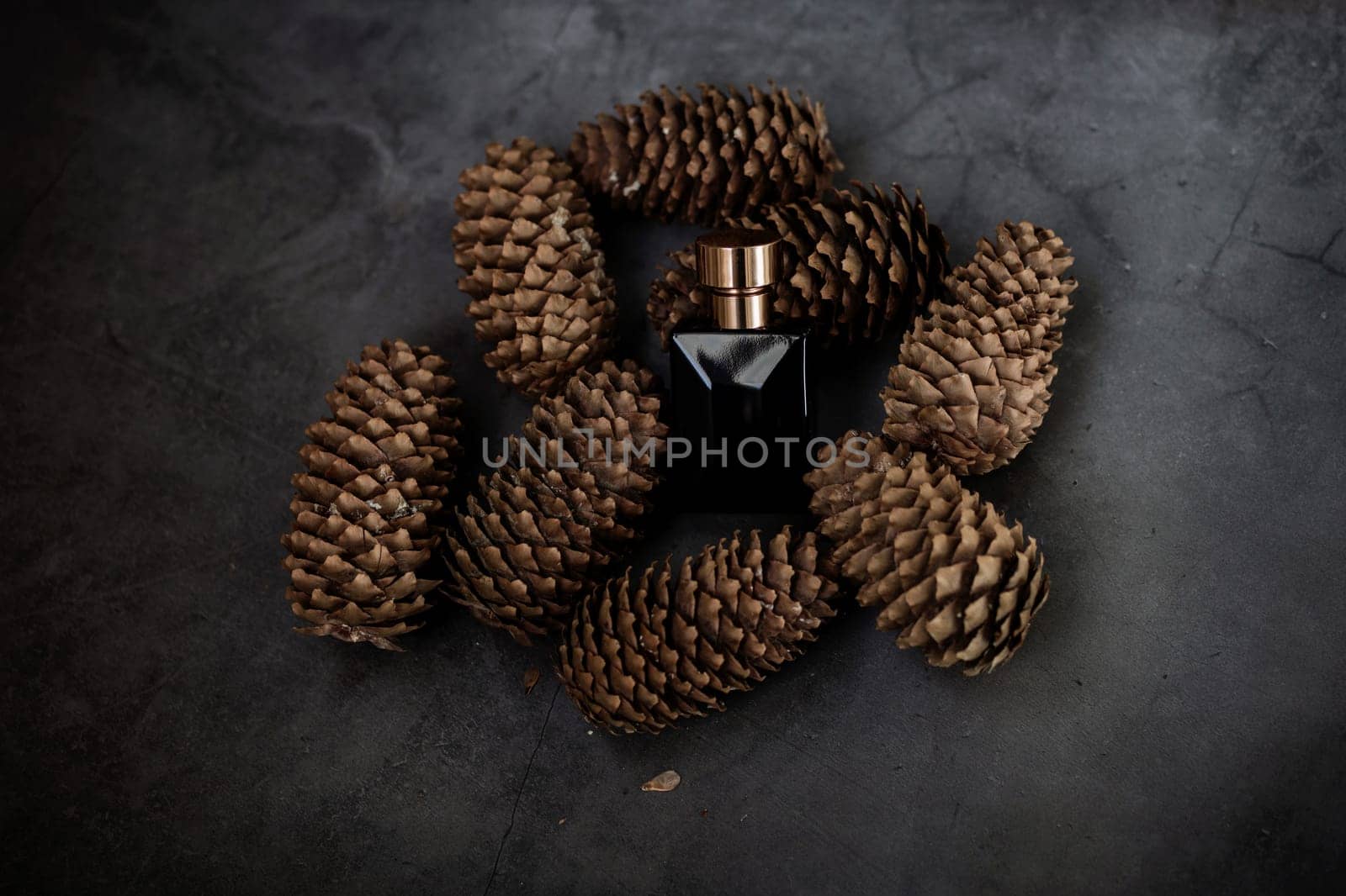 Bottle of perfume on a background of forest cones. Trending concept in natural materials. men's essence. Natural cosmetic