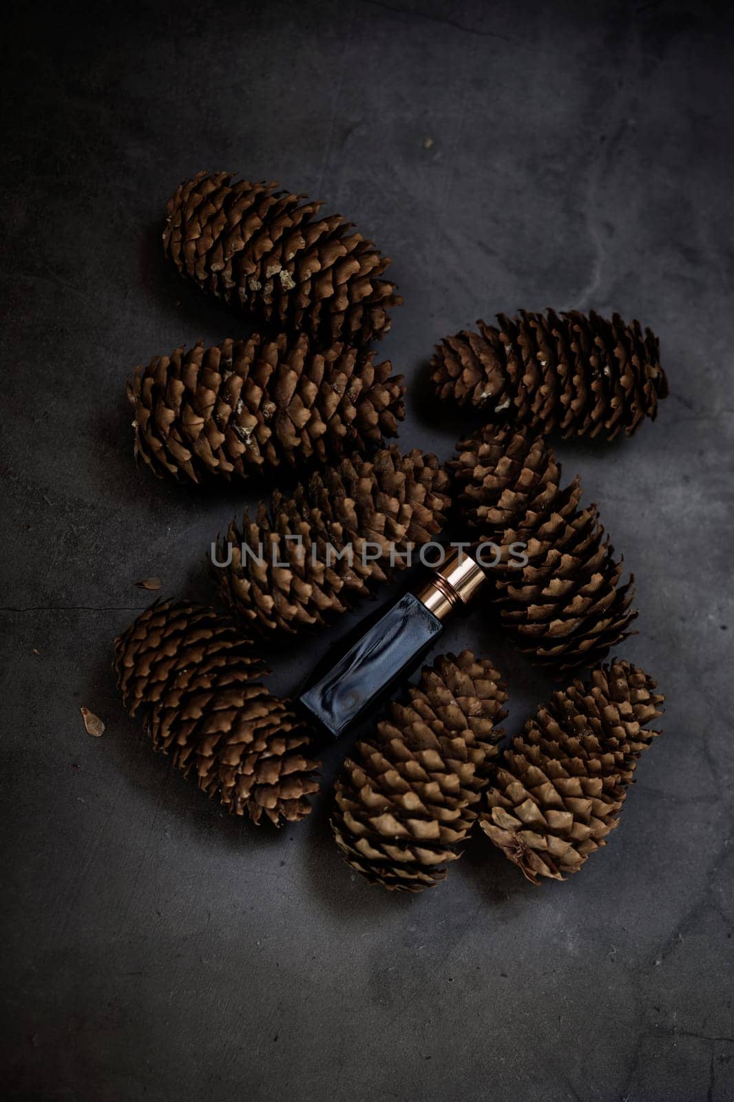 fresh natural fragrance for men. perfume. a bottle of cologne on the background of forest cones
