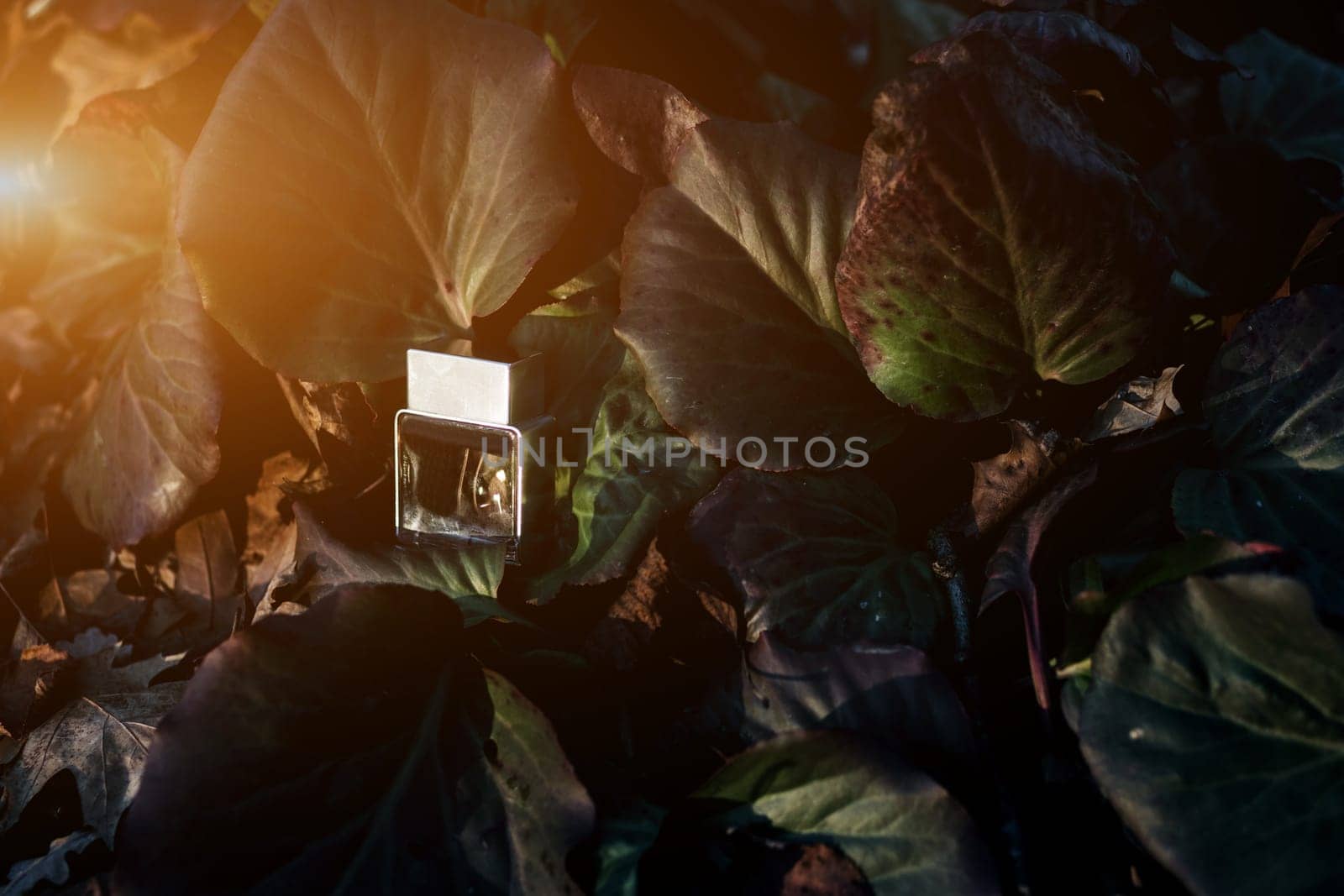 Transparent bottle of perfume on a background of geen leaves. Trending concept in natural materials. Women's and men's essence. Natural cosmetic