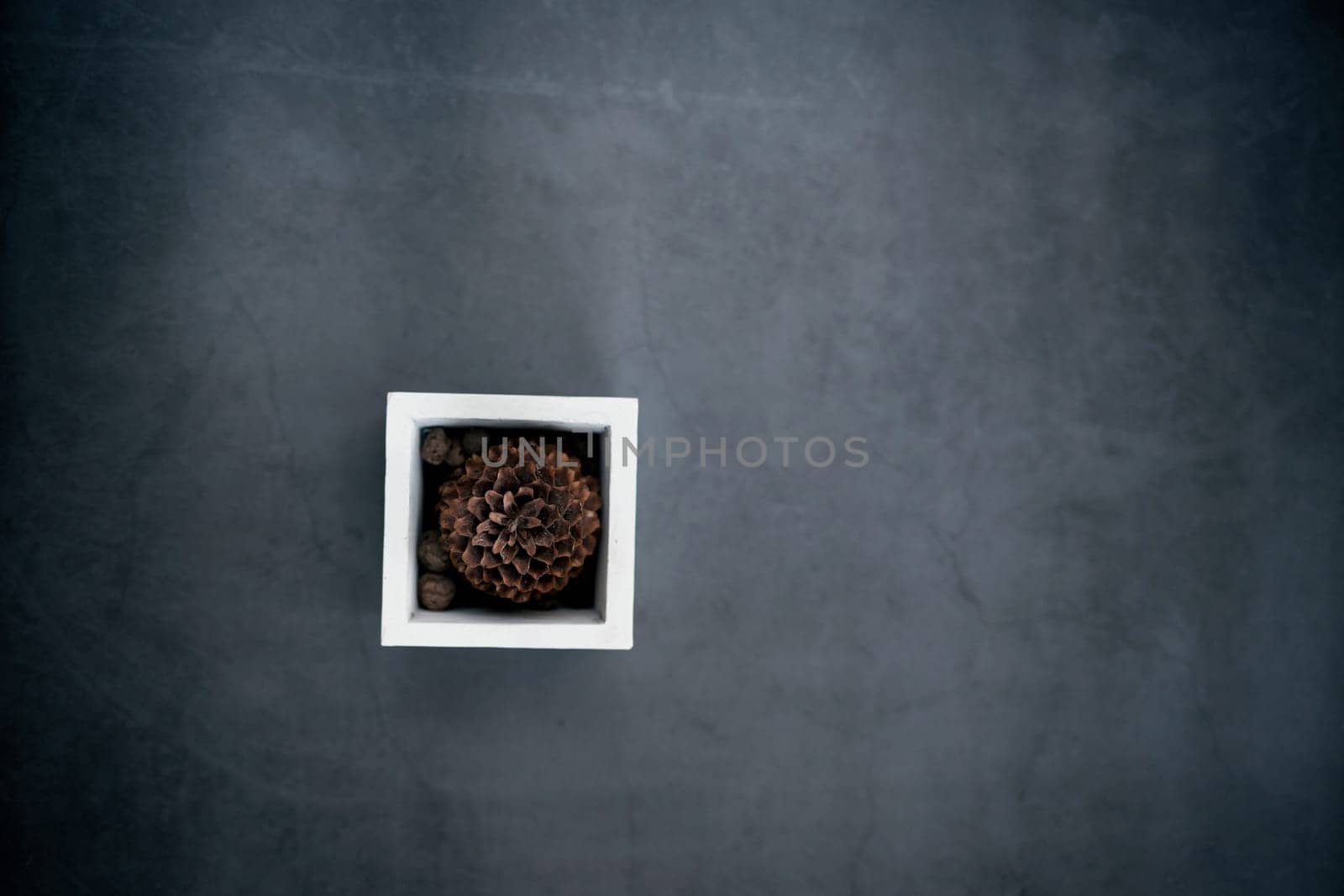 Still life with home decor of cone in modern vase on dark background, with copy space. top view