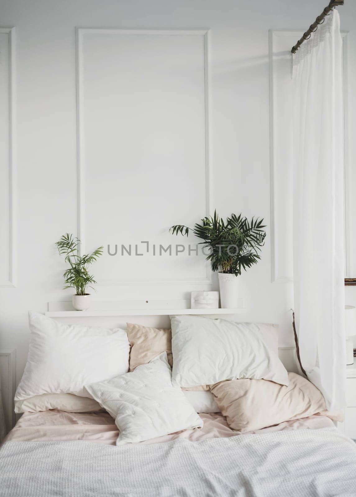 Light spacious bedroom with white wall above bed and plants