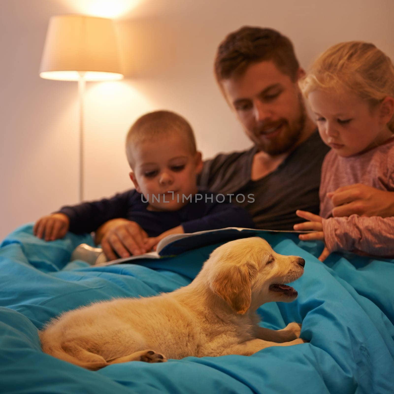 Night, books or father with kids in bed for reading, learning and bonding with dog at home Love, family and dad with children in bedroom for storytelling, fantasy or literature for teaching pet care by YuriArcurs