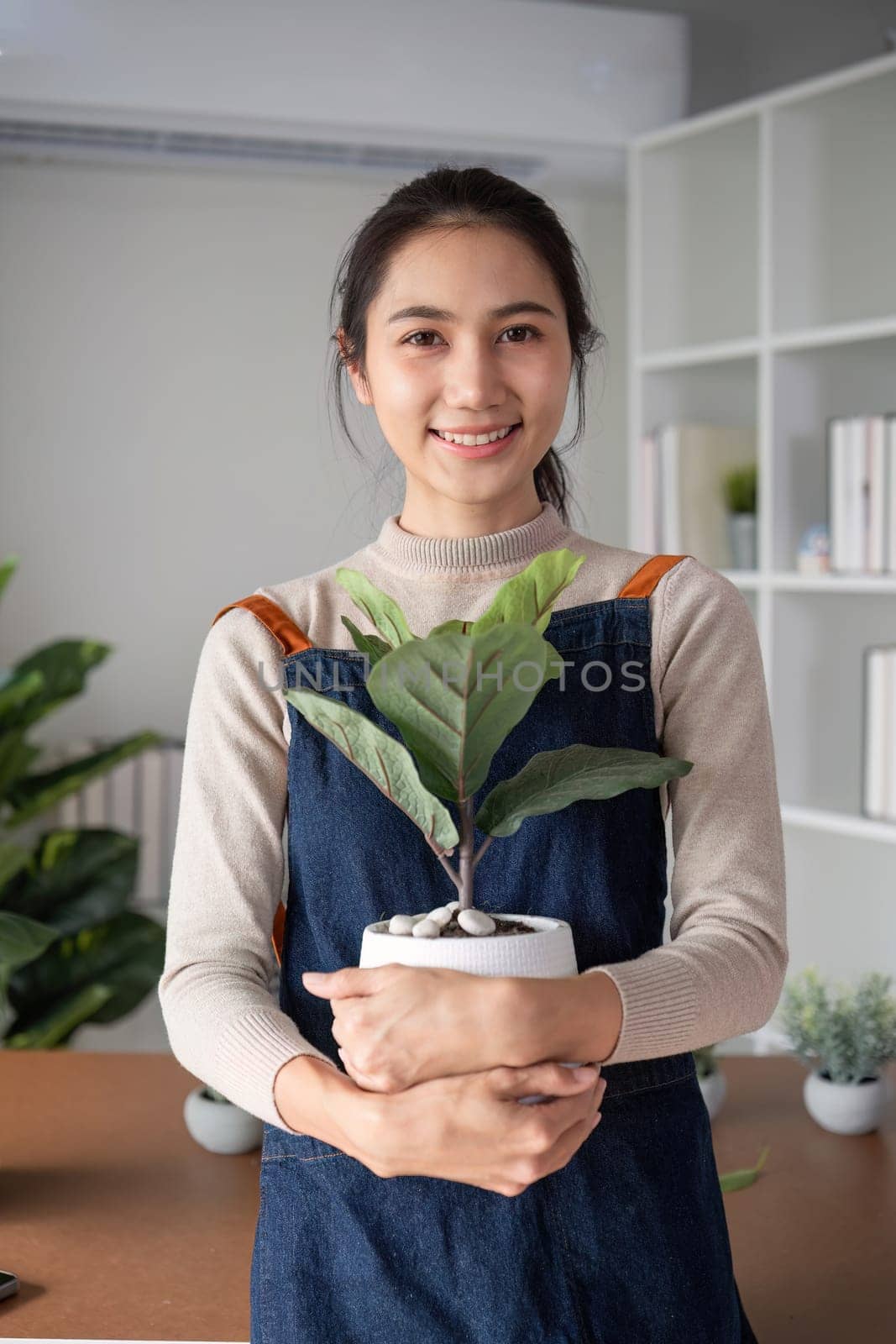 A young Asian woman is enjoying planting a garden in her home to create a shady atmosphere in her home. by wichayada