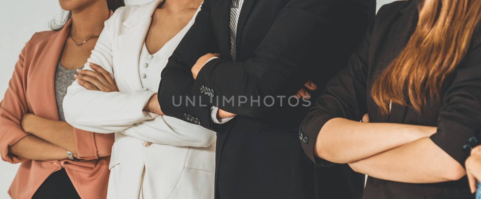 Businesswomen and businessman standing in row in office. Corporate business and teamwork concept. uds