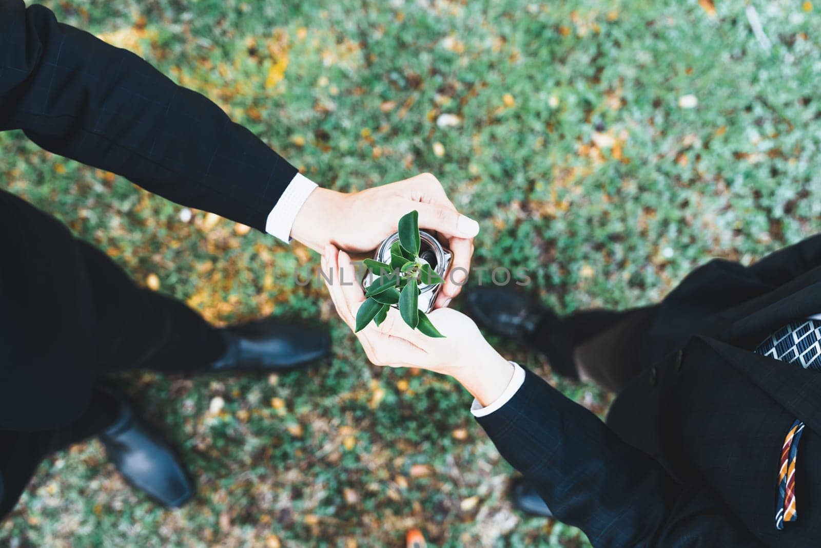 Concept of sustainable money growth investment with glass jar. Gyre by biancoblue