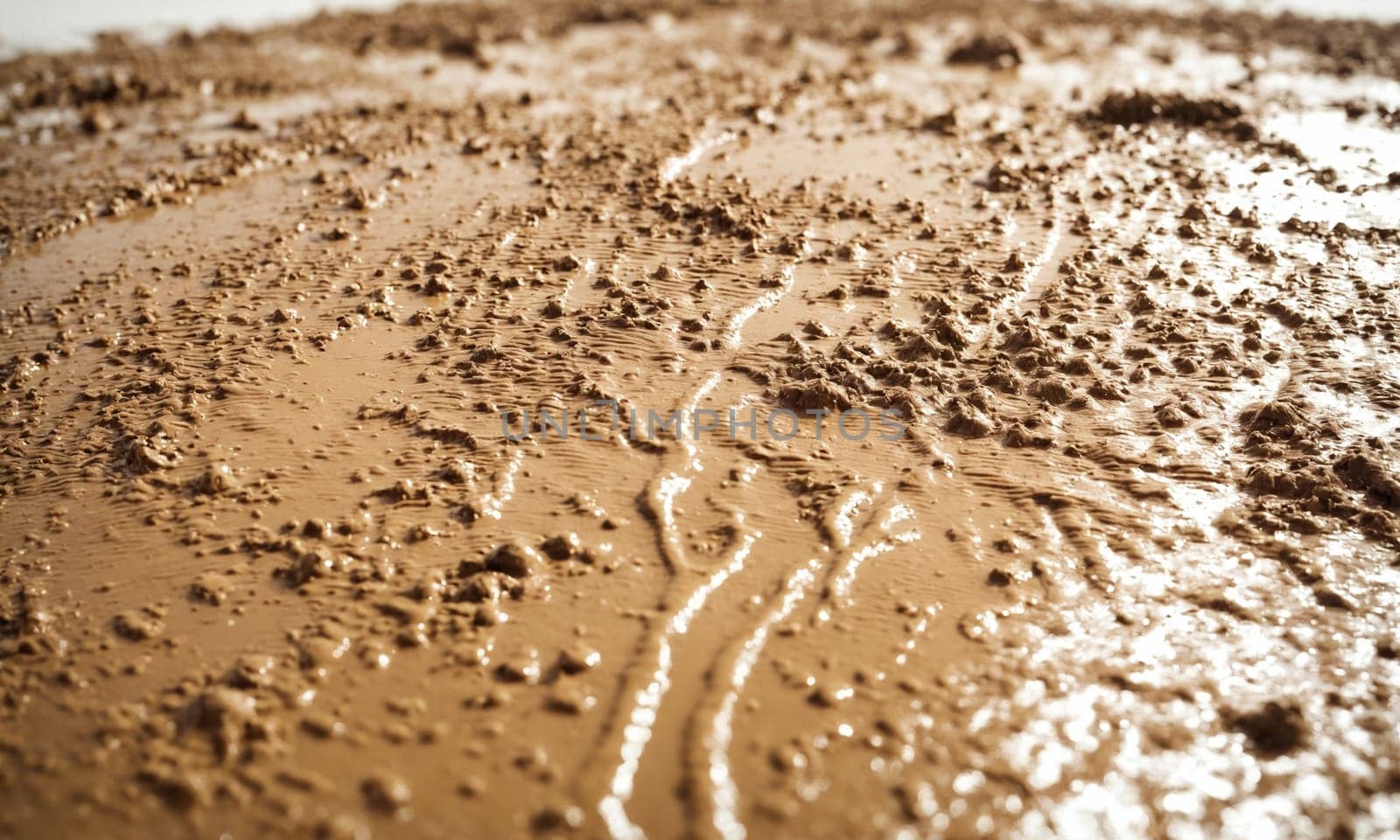 Close-up of mud after rains