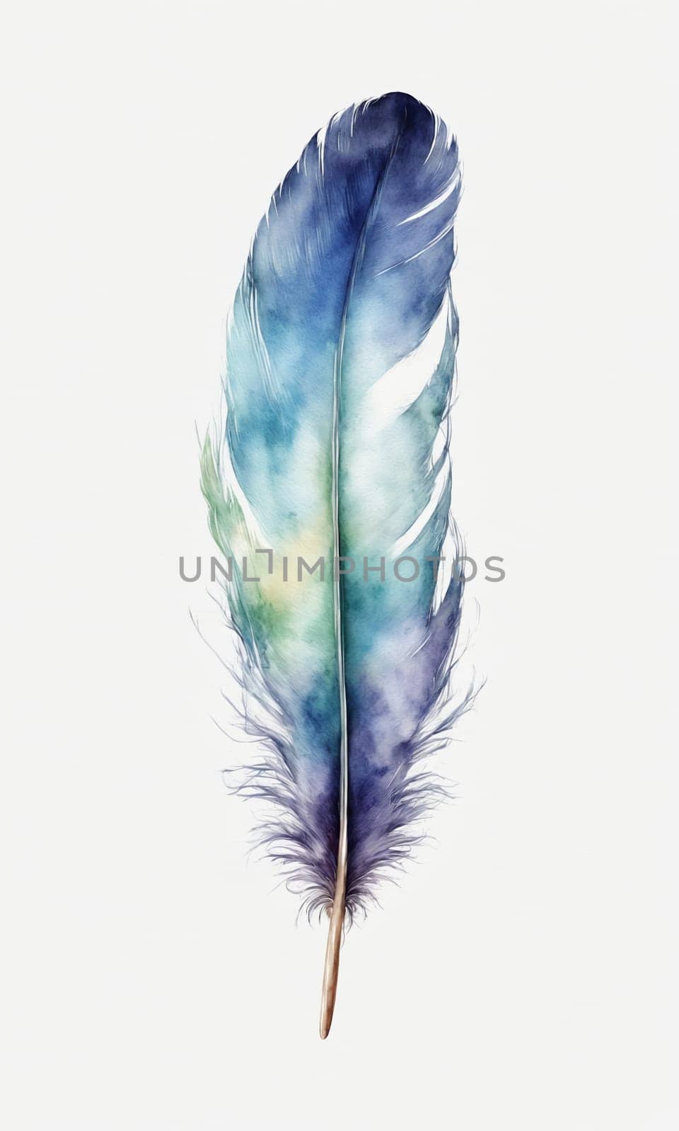 Watercolor feather isolated on white background. Hand-drawn illustration. by Andre1ns