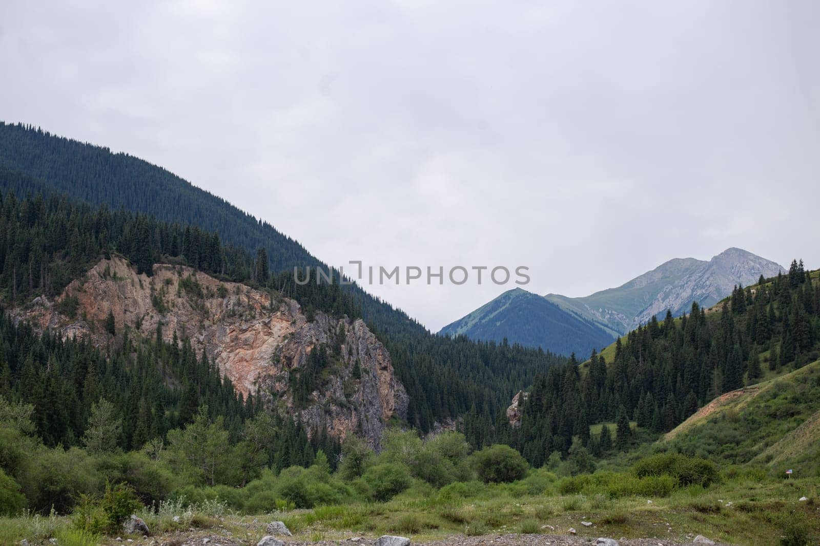 the landscape of the area at the green foot of the mountains in summer.