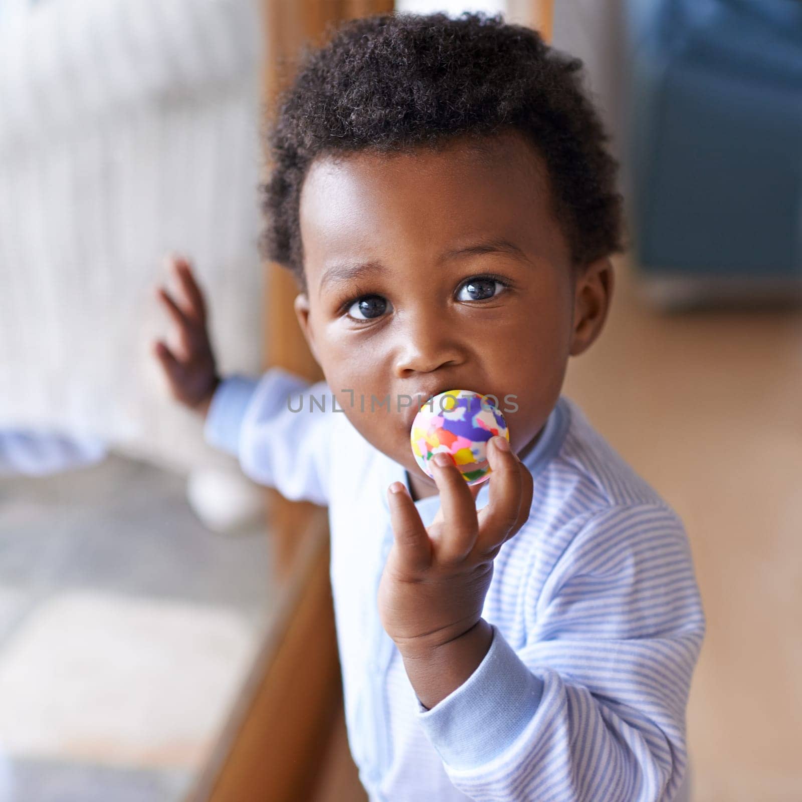 Portrait, baby or toy in play, coordination or growth as learning, game or progress in Jamaica. Black boy, child or ball in mouth as healthy, motor skill or fun in curious, cognitive or sensory by YuriArcurs