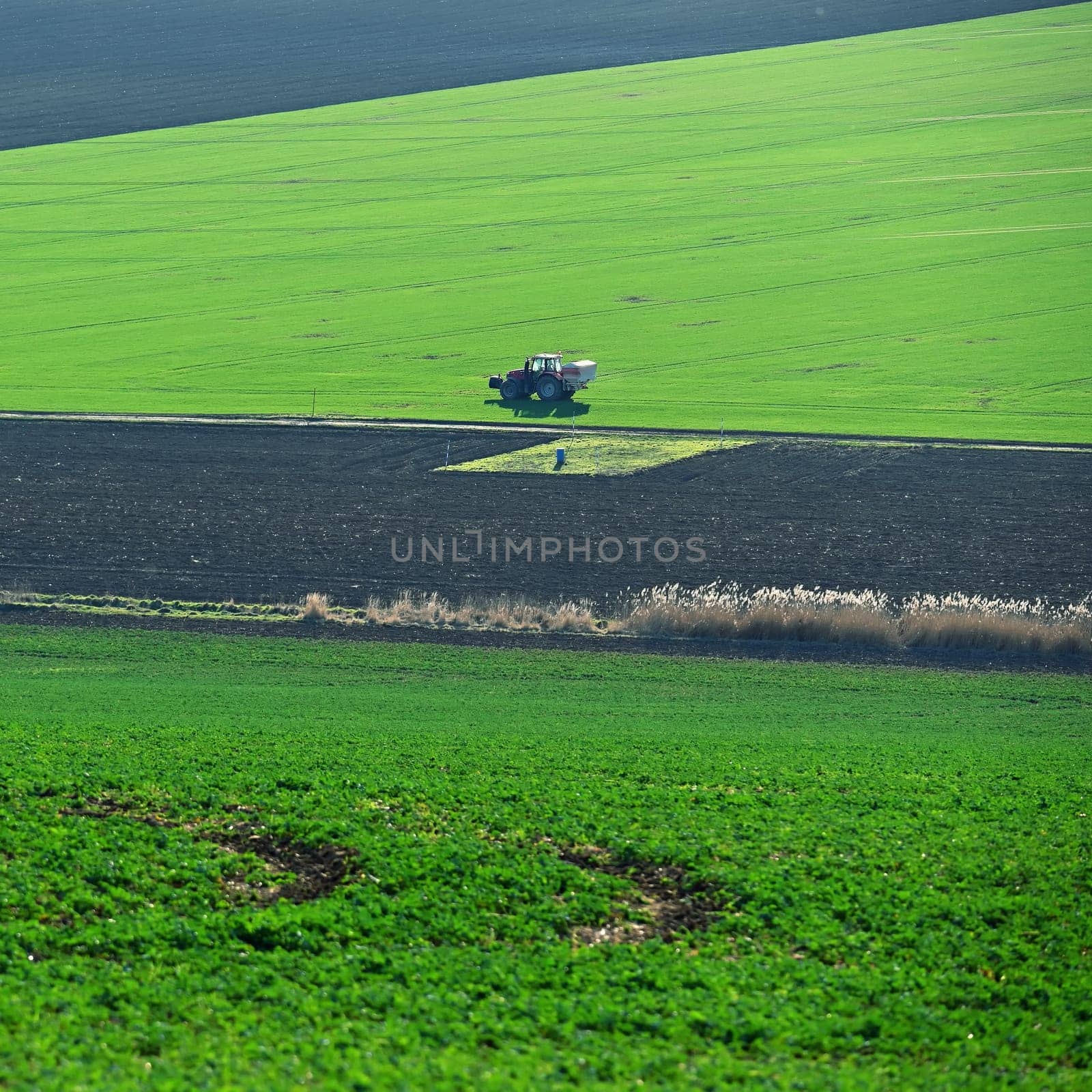 Tractor on the field in spring time. Green field in spring and tillage work. Concept for agriculture.