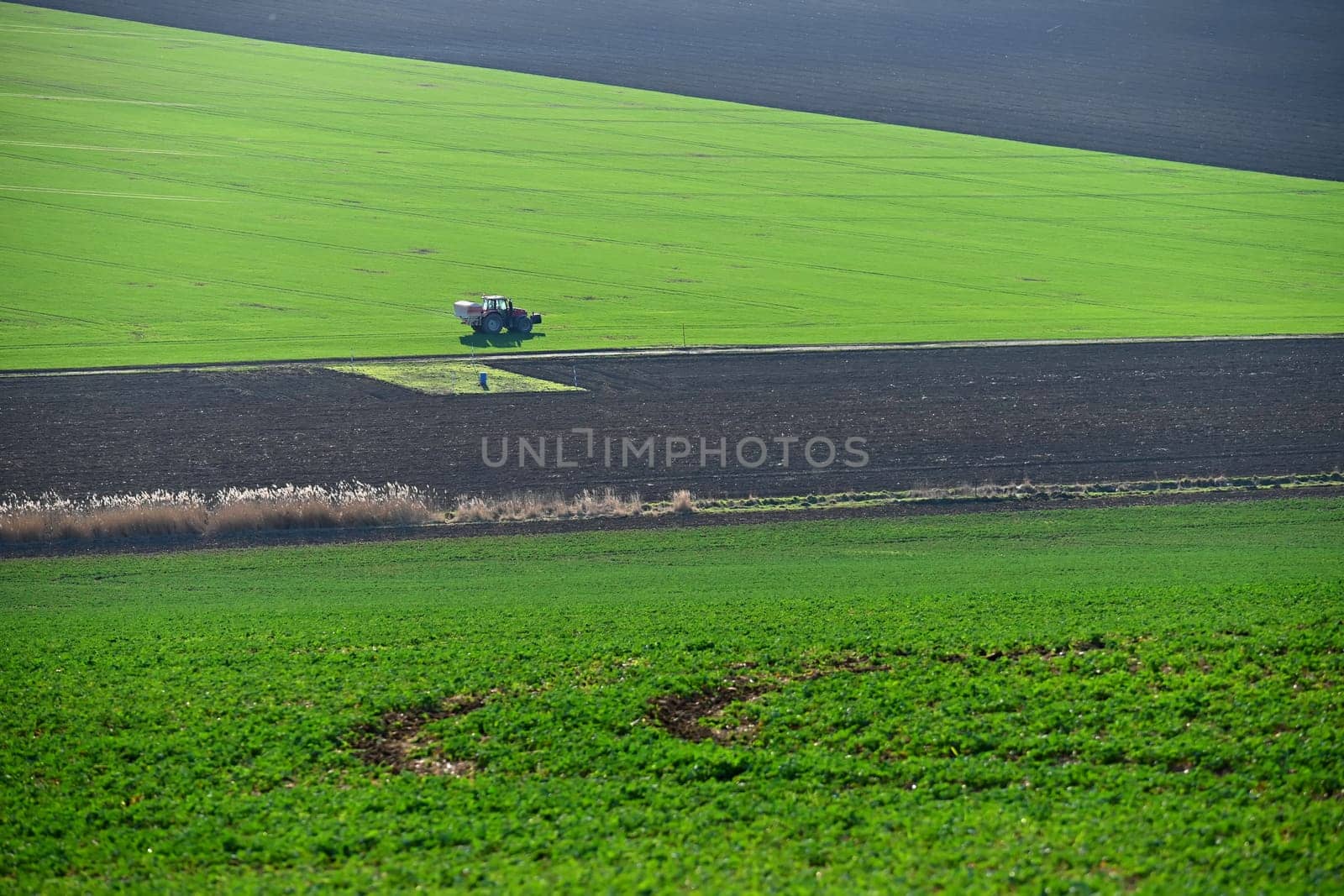 Tractor on the field in spring time. Green field in spring and tillage work. Concept for agriculture.