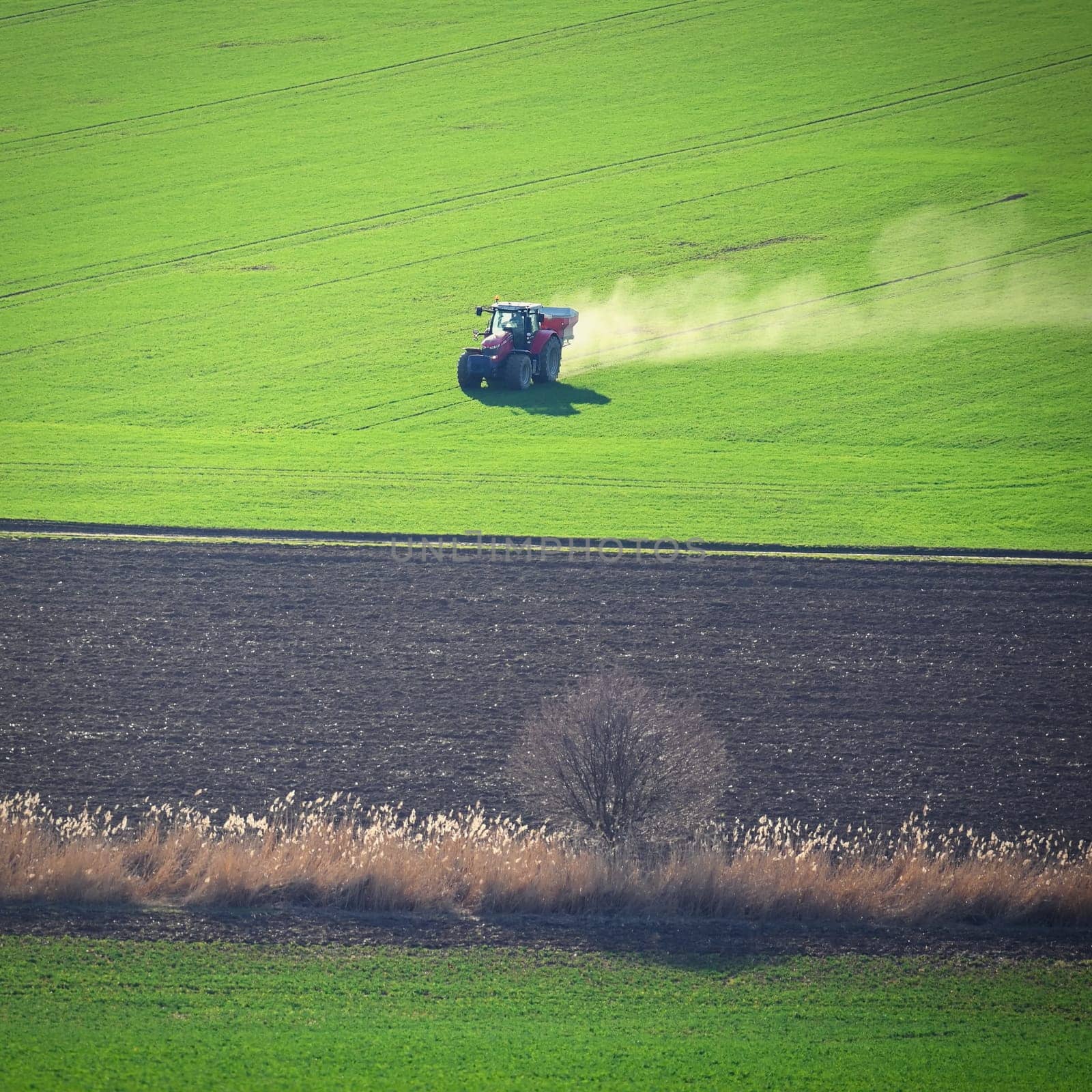 Tractor in the field in spring time. Green field in spring and work on cultivating the soil. Concept for agriculture. by Montypeter