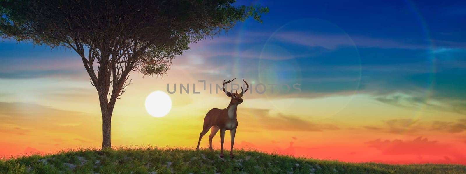 Majestic Deer at Sunrise: A Harmonious Symphony of Light and Nature by Juanjo39
