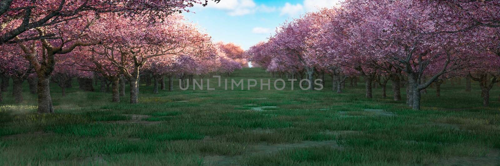 Serene Cherry Blossom Orchard in Full Bloom by Juanjo39