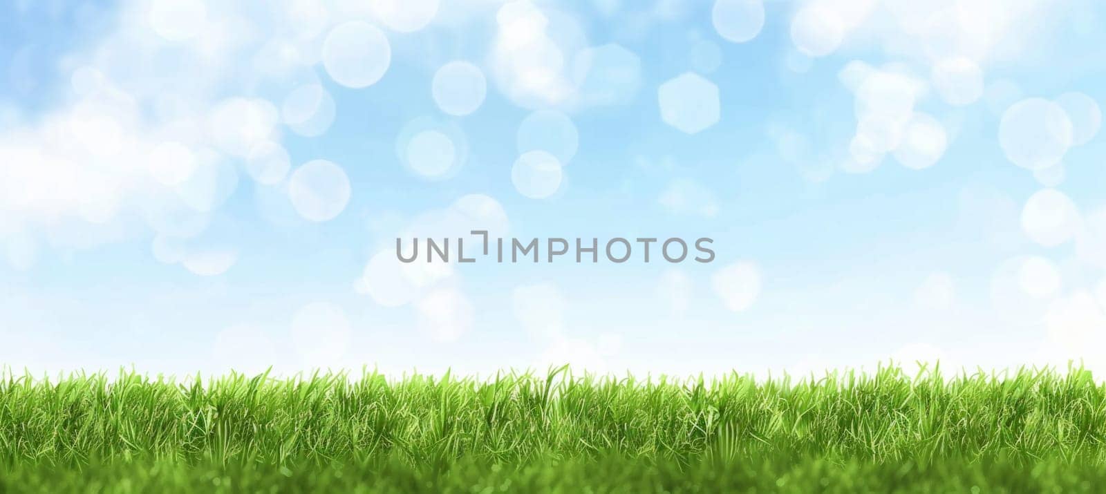 Grass and Sky with Copy Space by papatonic