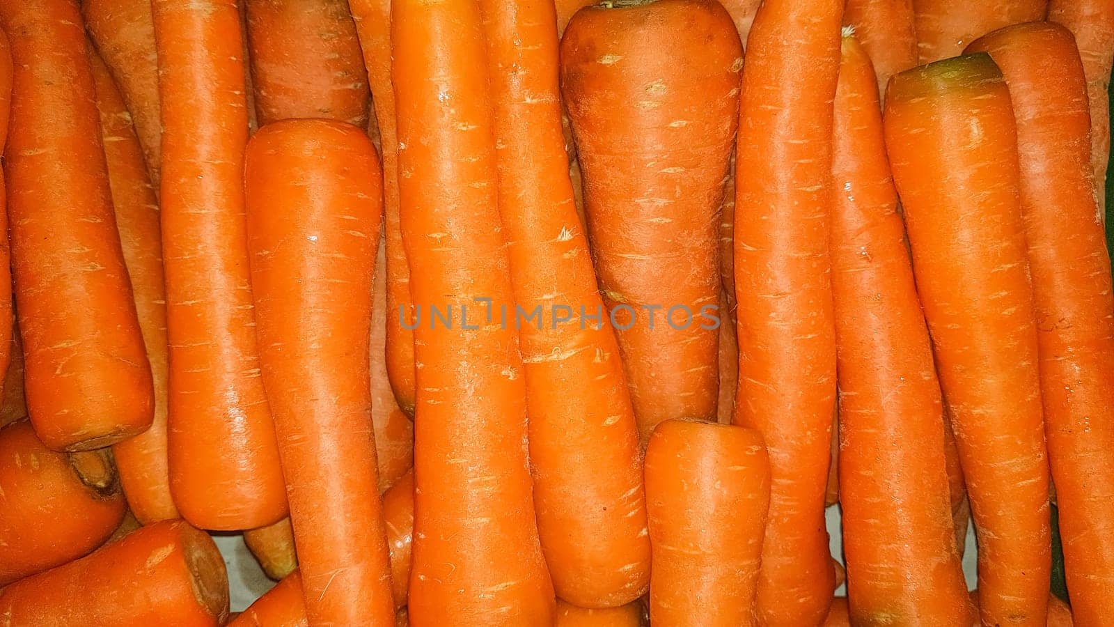 Fresh produce of carrots spring food vegetable. Fresh big orange carrot texture background by antoksena