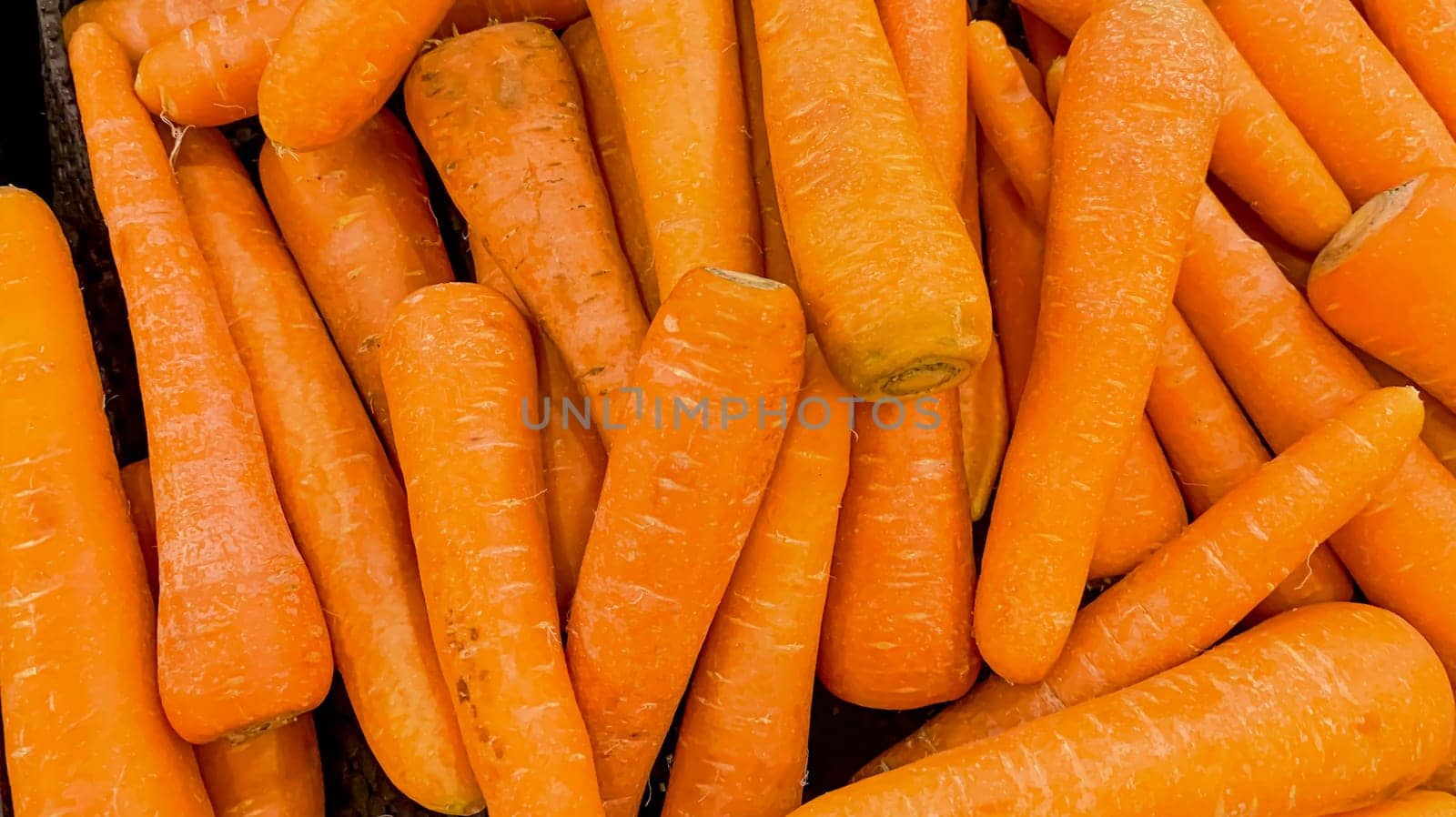 Fresh produce of carrots spring food vegetable. Fresh big orange carrot texture background by antoksena