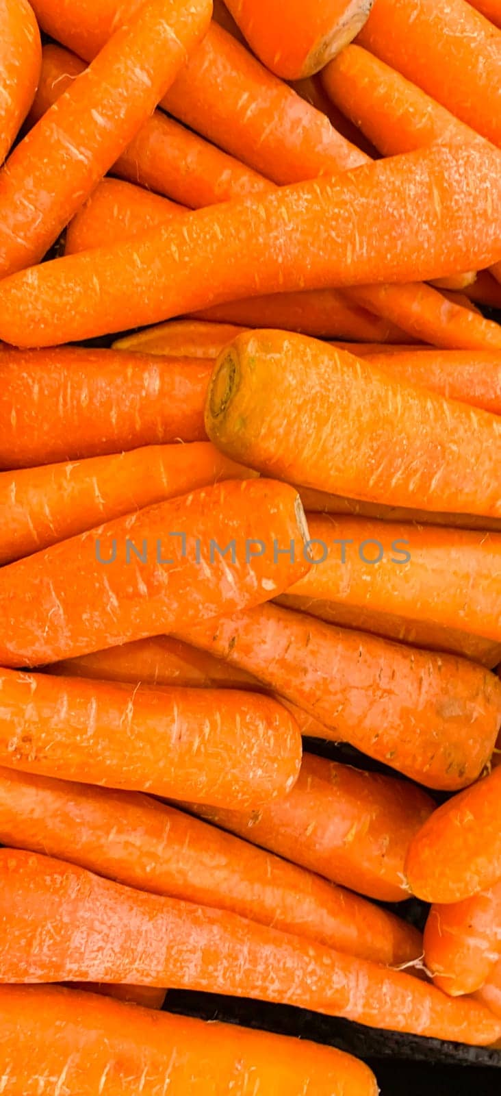 Macro photo of carrot spring food vegetable. Fresh big orange carrot texture background. Product Image of Carrot Root Vegetables