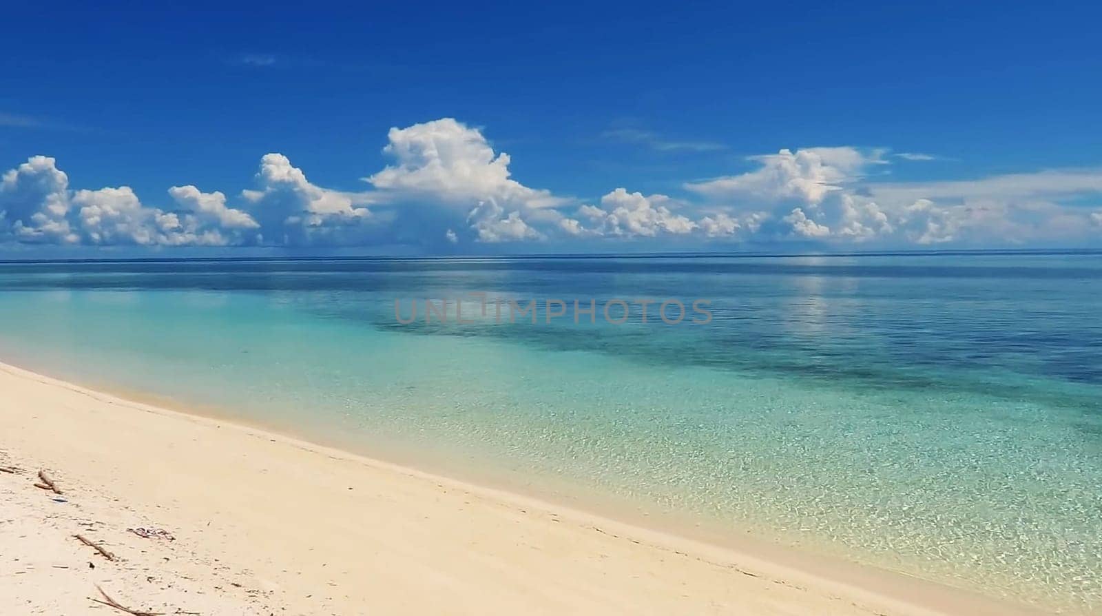 Tropical paradise beach with white sand and palm trees panoramic tourism by antoksena