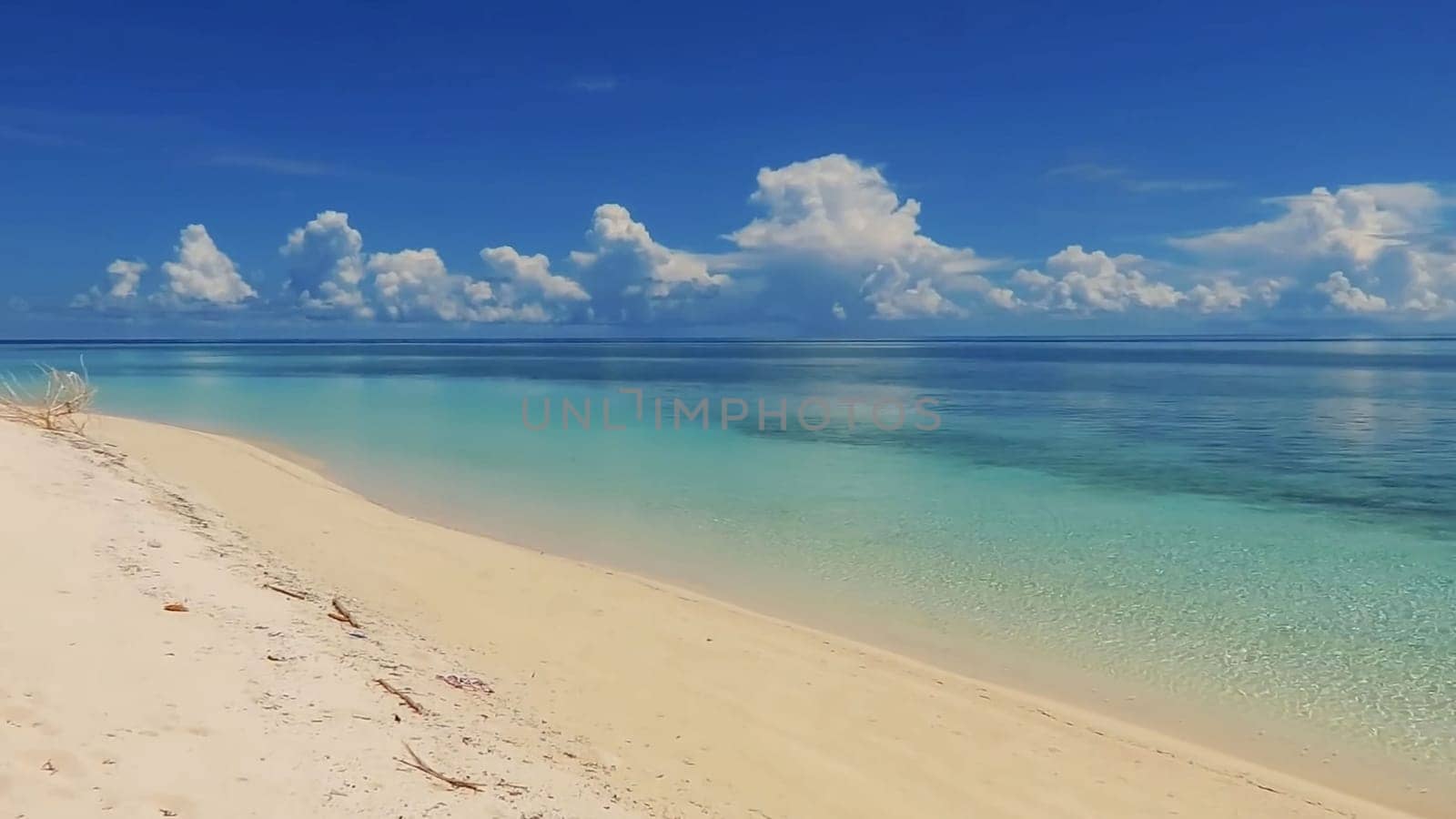 Tropical paradise beach with white sand and palm trees panoramic tourism by antoksena