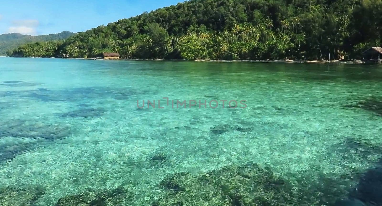 Tropical paradise beach with white sand and palm trees panoramic tourism by antoksena