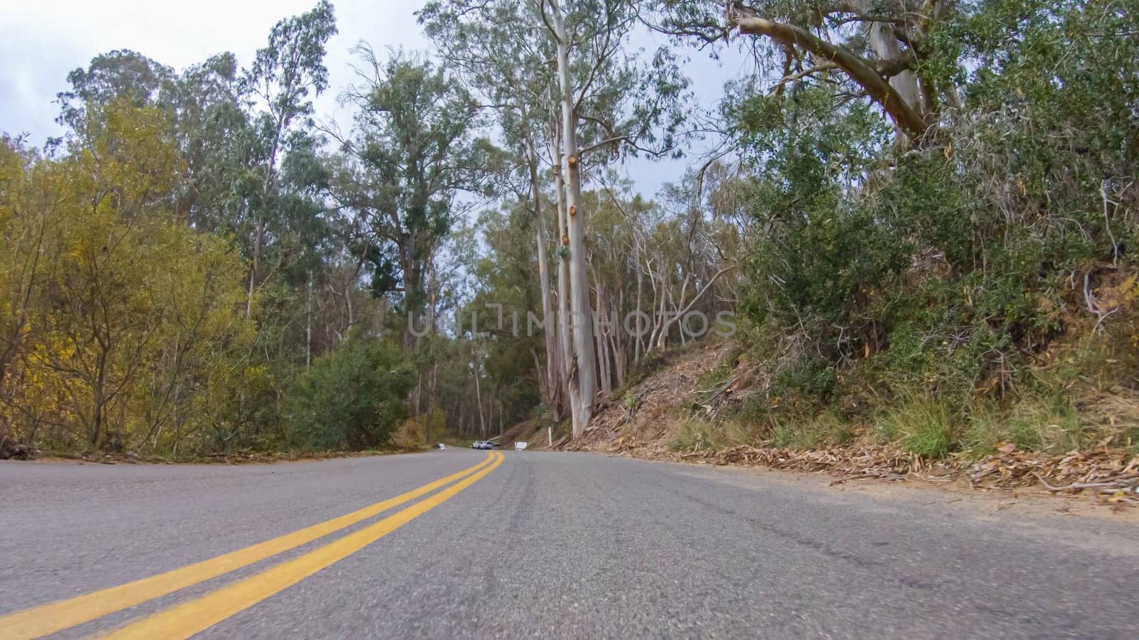 In this serene winter scene, a vehicle carefully makes its way along Los Osos Valley Road and Pecho Valley Road within Montana de Oro State Park.