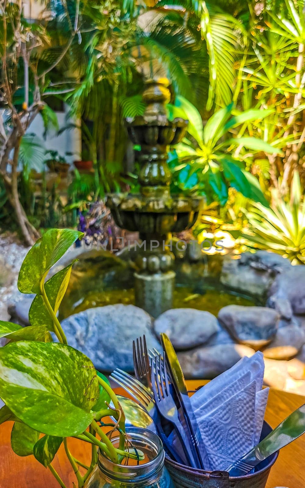 Nostalgic green fountain in the garden with moss in Zicatela Puerto Escondido Oaxaca Mexico.