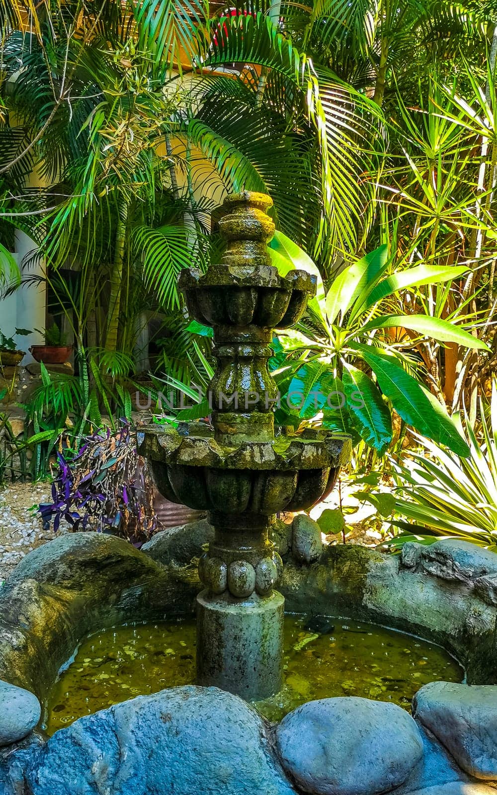 Nostalgic green fountain in the garden with moss in Zicatela Puerto Escondido Oaxaca Mexico.