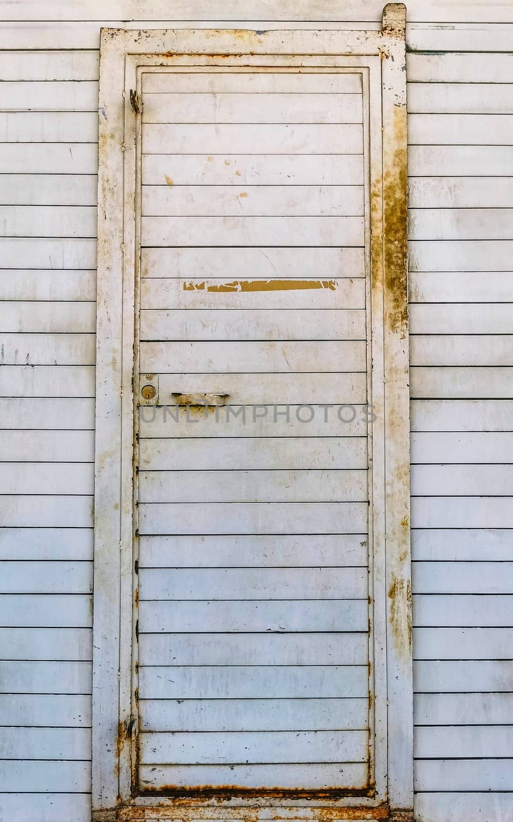 Metal gate door fence texture pattern in Mexico. by Arkadij