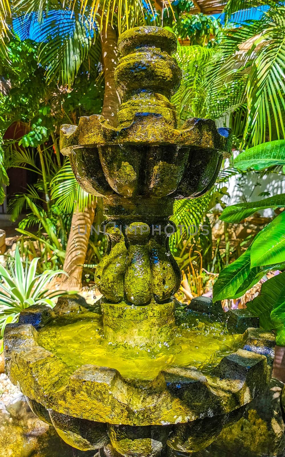 Nostalgic green fountain in the garden Puerto Escondido Mexico. by Arkadij