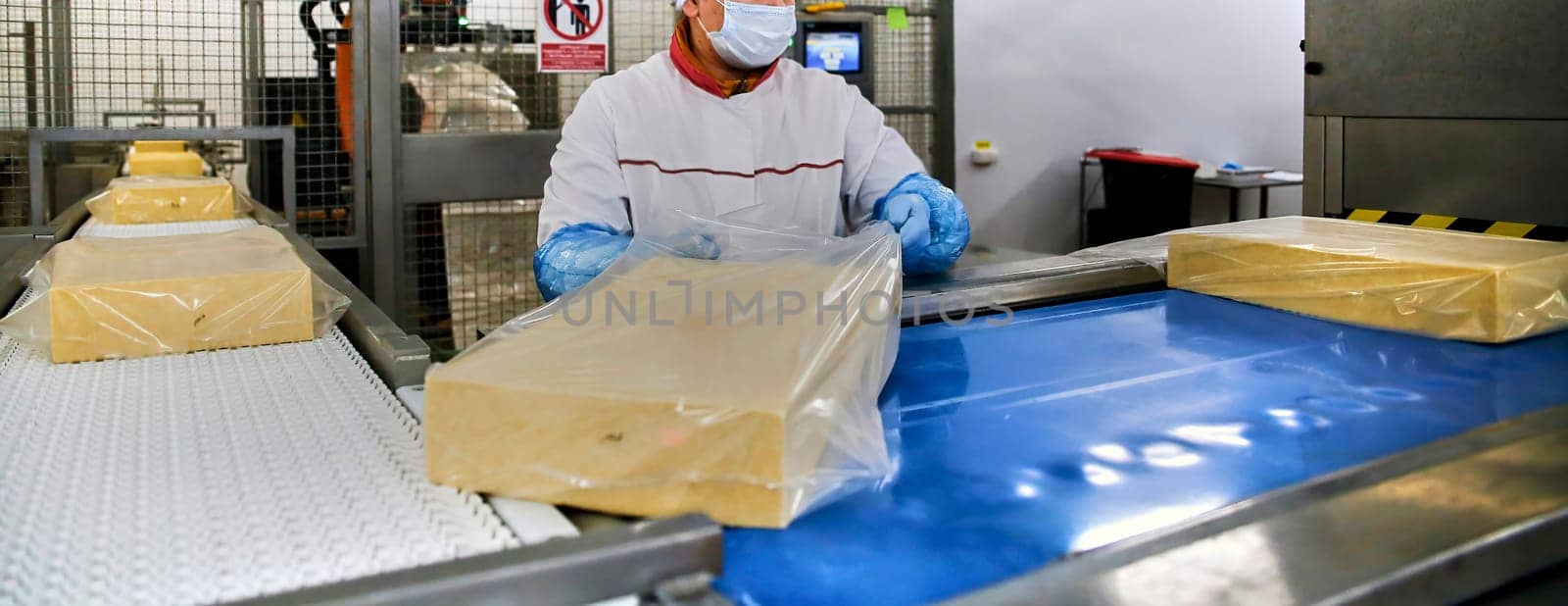 Two workers start making blocks of cheese in a factory. Worker on a cheese production line.