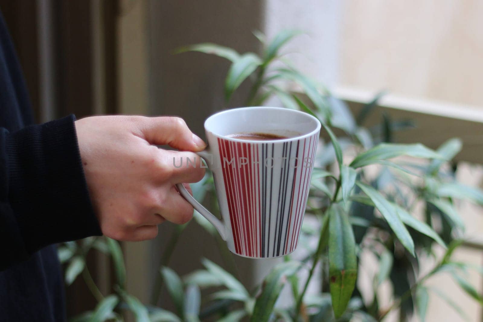 Step into a world of warmth and tradition as Greek coffee brews gently on a small gas burner, reminiscent of the beloved Turkish coffee ritual.