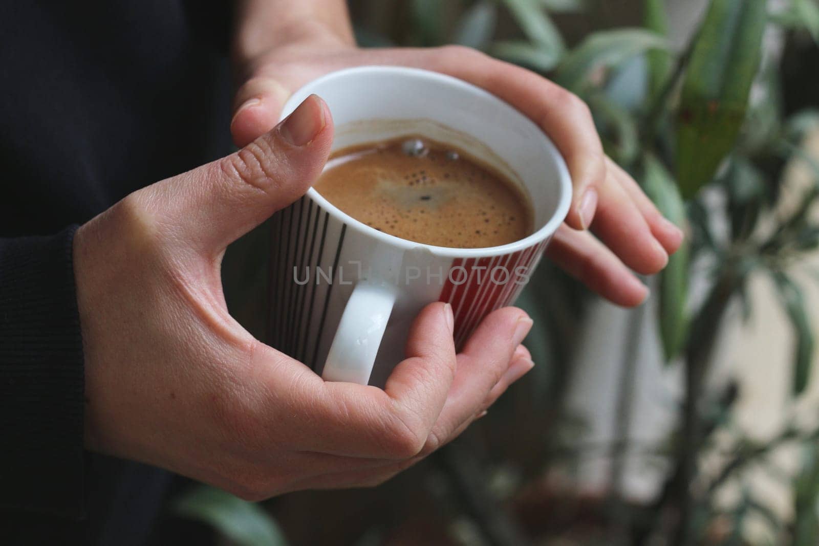 Step into a world of warmth and tradition as Greek coffee brews gently on a small gas burner, reminiscent of the beloved Turkish coffee ritual.