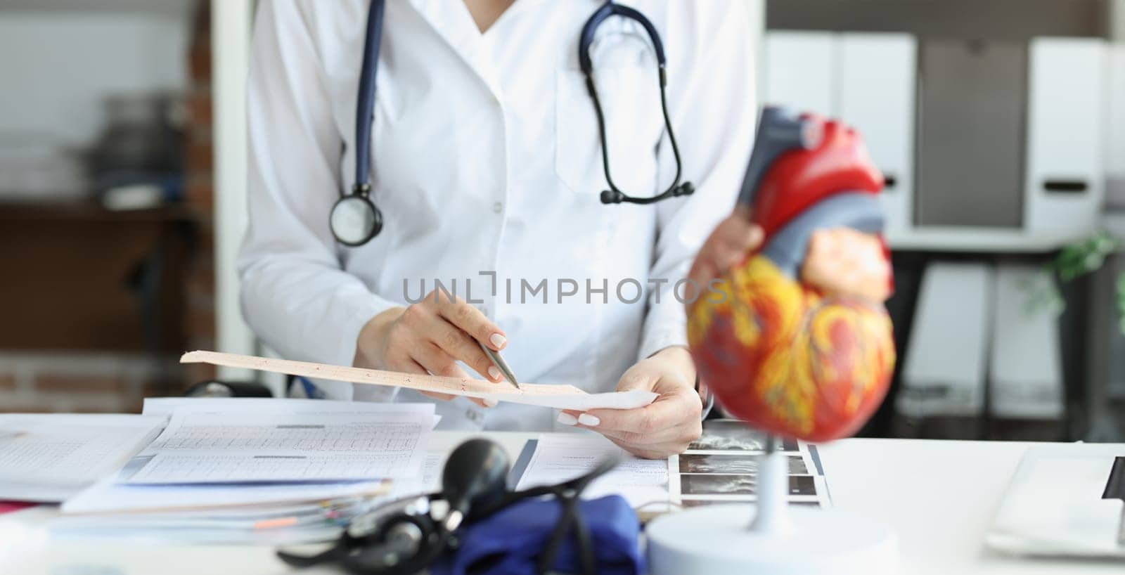 Doctor cardiologist examining cardiogram against background of artificial heart model closeup by kuprevich
