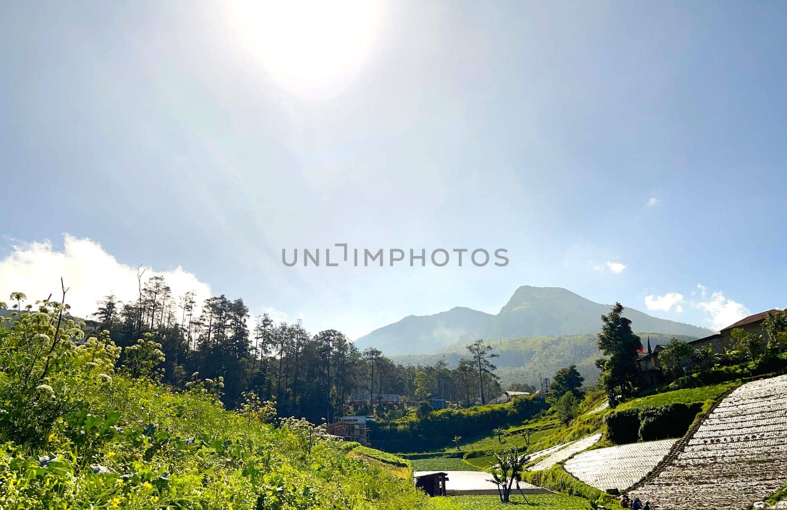 Beautiful panoramic view of the mountain and green fields, lovely landscape for backgrounds, mountainous area of Java island Indonesia