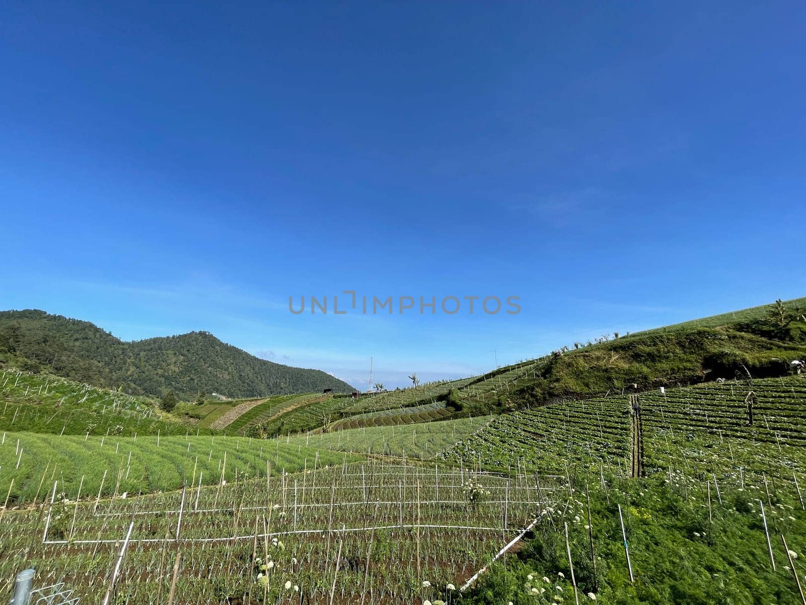 Beautiful panoramic view of the mountain and green fields, lovely landscape for backgrounds by antoksena