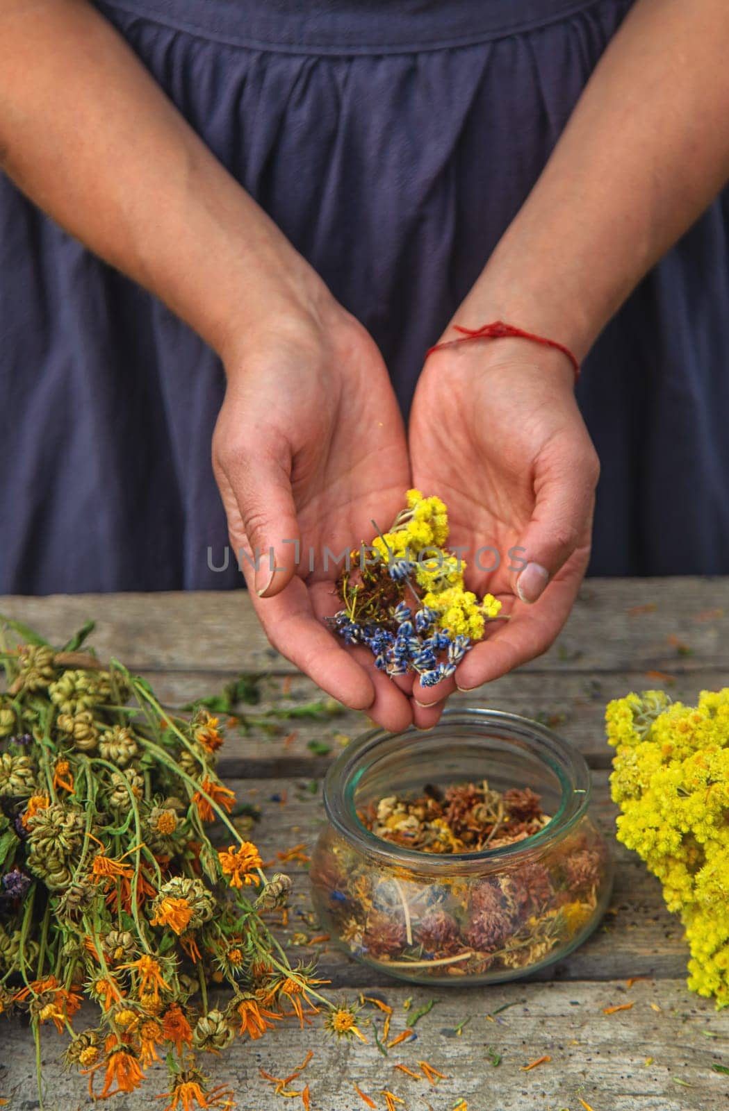A woman holds medicinal herbs in her hands. Selective focus. Nature.