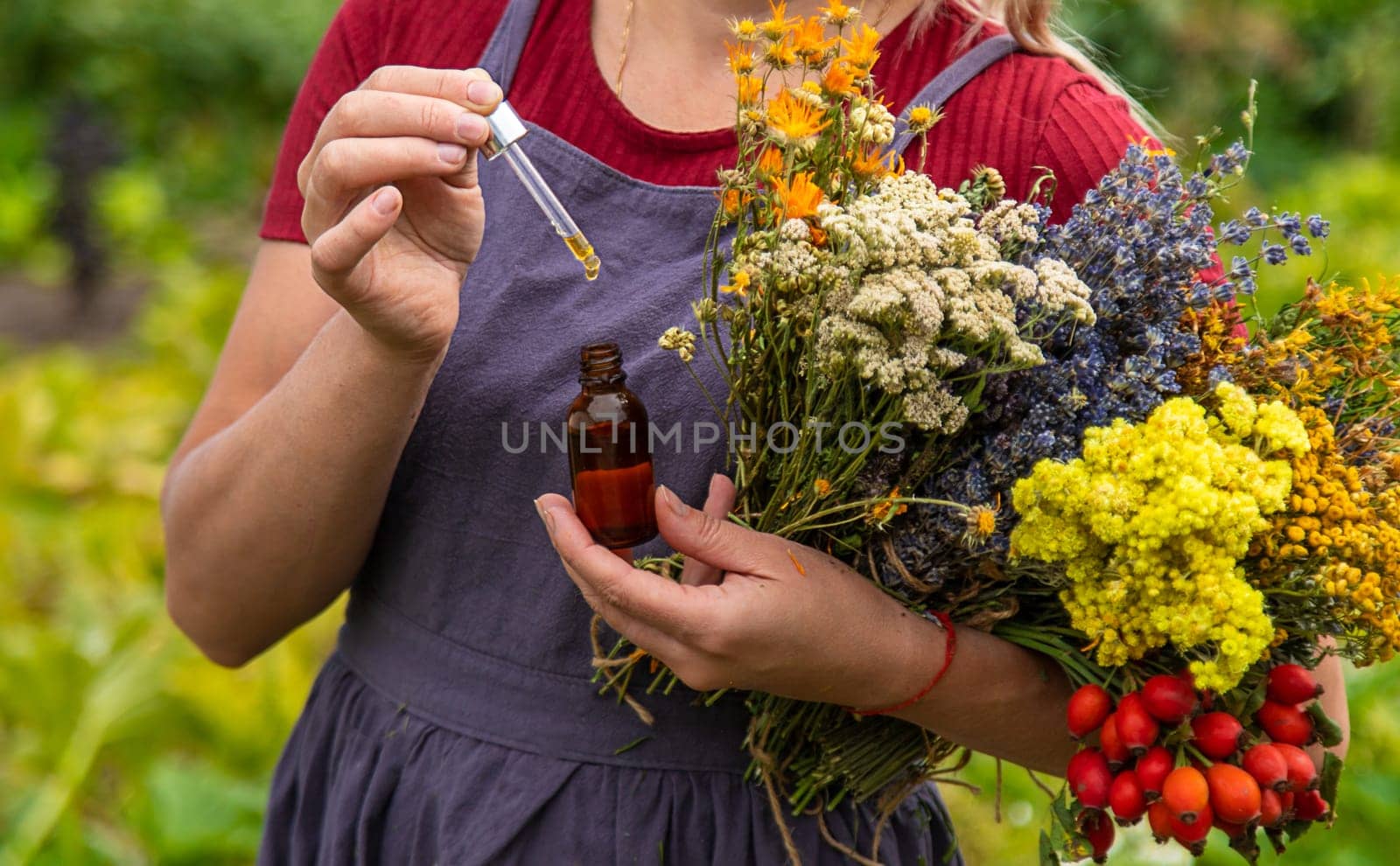 A woman holds an herbal extract in her hands. Selective focus. Nature.