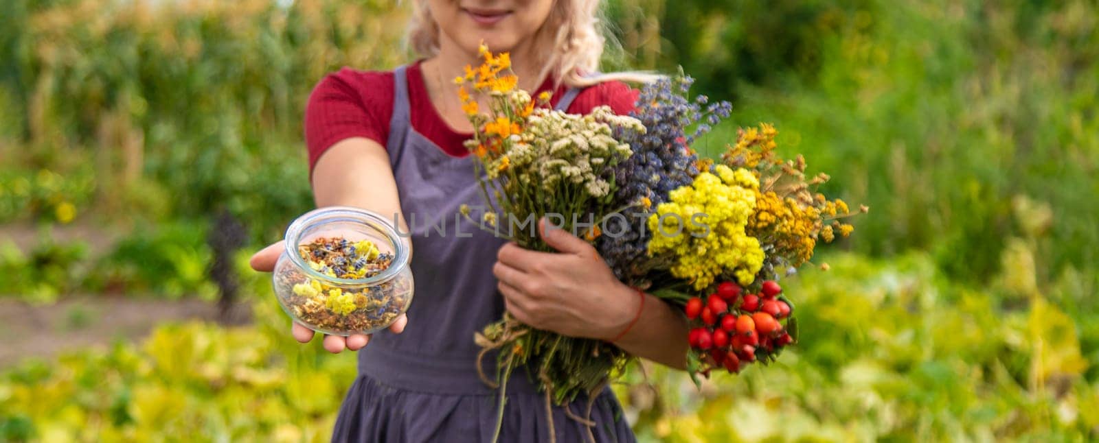 A woman holds medicinal herbs in her hands. Selective focus. by yanadjana