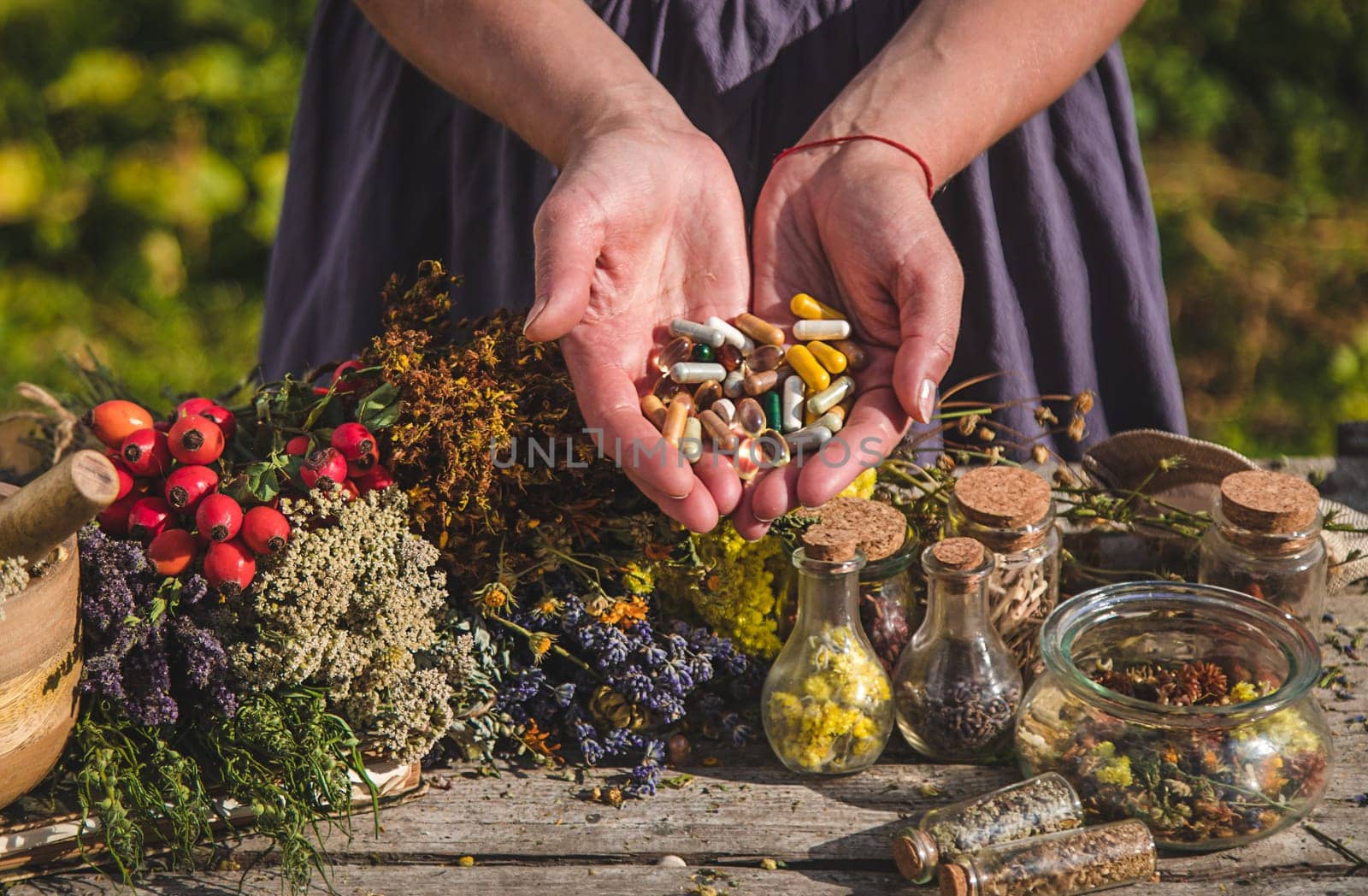 In the hands of herbs and supplements. Selective focus. Nature.