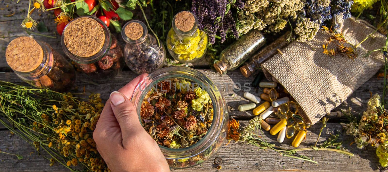 Medicinal herbs in hands. Selective focus. by yanadjana