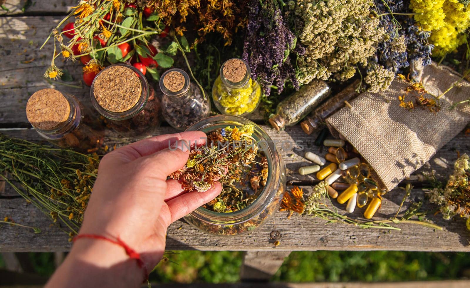 Medicinal herbs in hands. Selective focus. Nature.