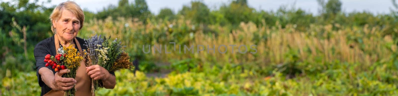 A woman brews herbal tea. Selective focus. Nature.