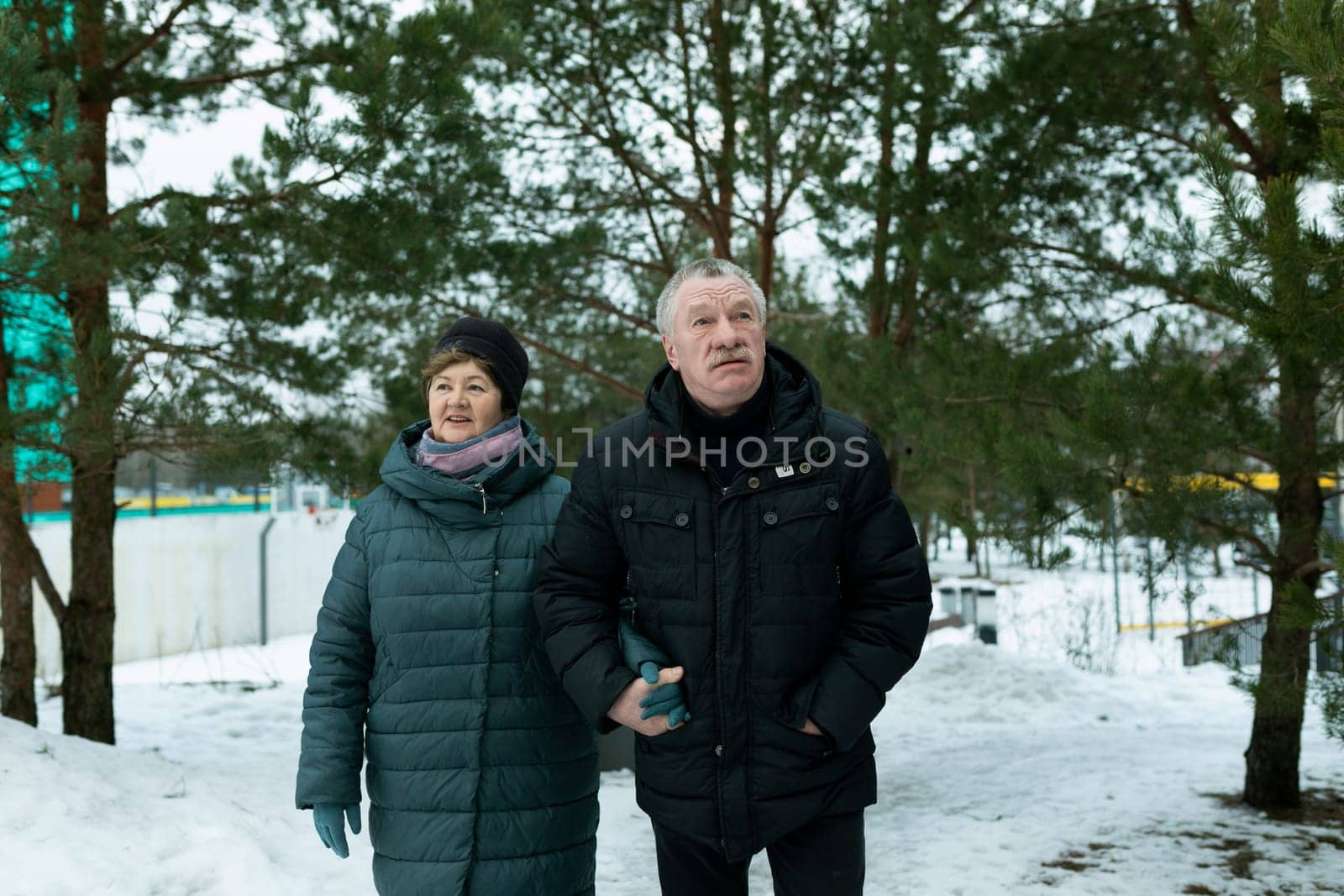 Happy elderly couple walking in the park in winter.