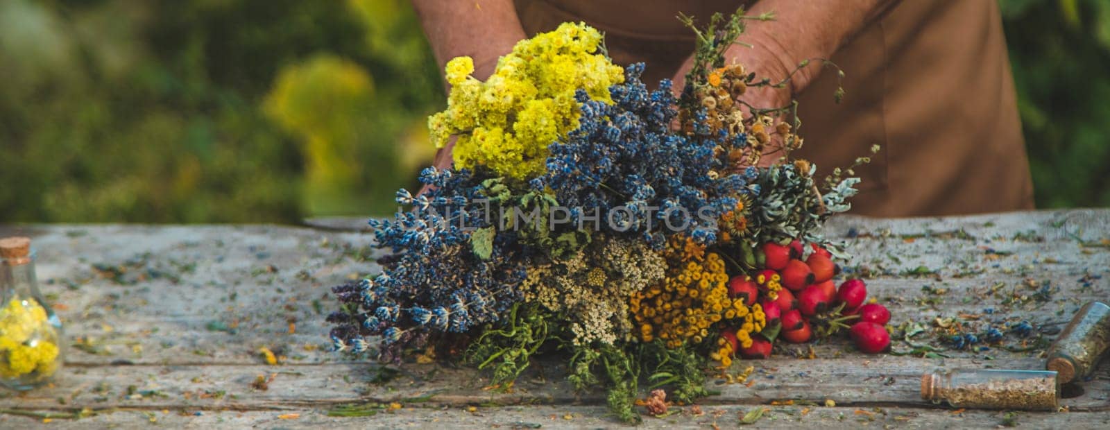 An elderly woman holds medicinal herbs in her hands. Selective focus. Nature.